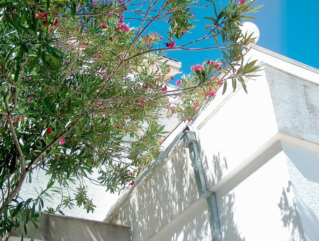 Villa Blanka Donji Okrug  Room photo