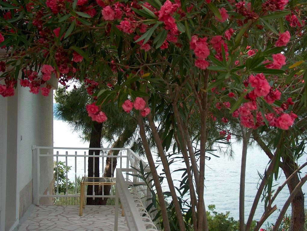Villa Blanka Donji Okrug  Room photo